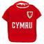 FA Wales Kit Lunch Bag - Gift Arch