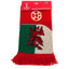 FIFA World Cup Qatar 2022 Wales Scarf - Gift Arch