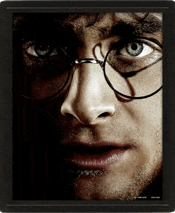 Harry Potter Framed 3D Picture - Gift Arch