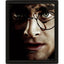 Harry Potter Framed 3D Picture - Gift Arch