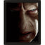 Harry Potter Framed 3D Picture - Gift Arch