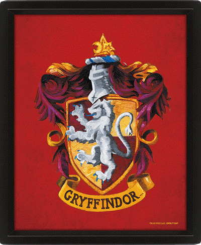 Harry Potter Gryffindor Framed 3D Picture - Gift Arch