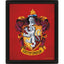 Harry Potter Gryffindor Framed 3D Picture - Gift Arch