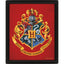 Harry Potter Gryffindor Framed 3D Picture - Gift Arch