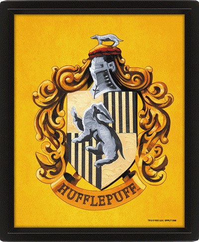Harry Potter Hufflepuff Framed 3D Picture - Gift Arch