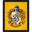 Harry Potter Hufflepuff Framed 3D Picture - Gift Arch