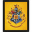 Harry Potter Hufflepuff Framed 3D Picture - Gift Arch