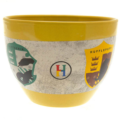 Harry Potter Huggy Mug - Gift Arch