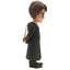Harry Potter MINIX Figure Harry Potter - Gift Arch