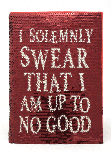 Harry Potter Premium Sequin Notebook - Gift Arch