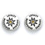 Harry Potter Silver Plated Earring Set Hufflepuff - Gift Arch