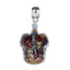 Harry Potter Silver Plated Gryffindor Charm - Gift Arch