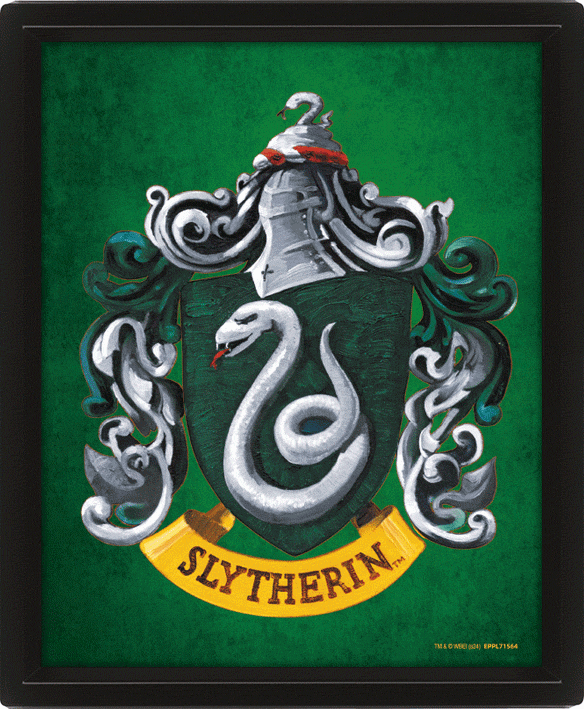 Harry Potter Slytherin Framed 3D Picture - Gift Arch