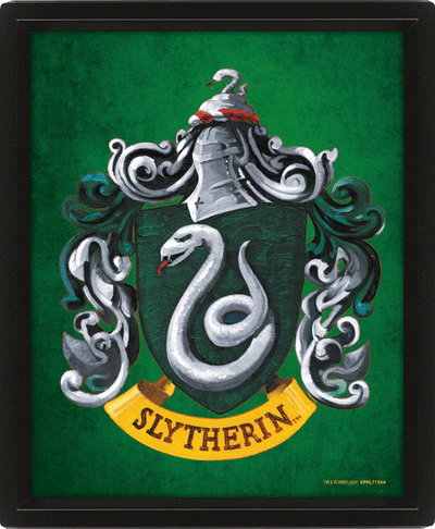 Harry Potter Slytherin Framed 3D Picture - Gift Arch