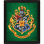 Harry Potter Slytherin Framed 3D Picture - Gift Arch