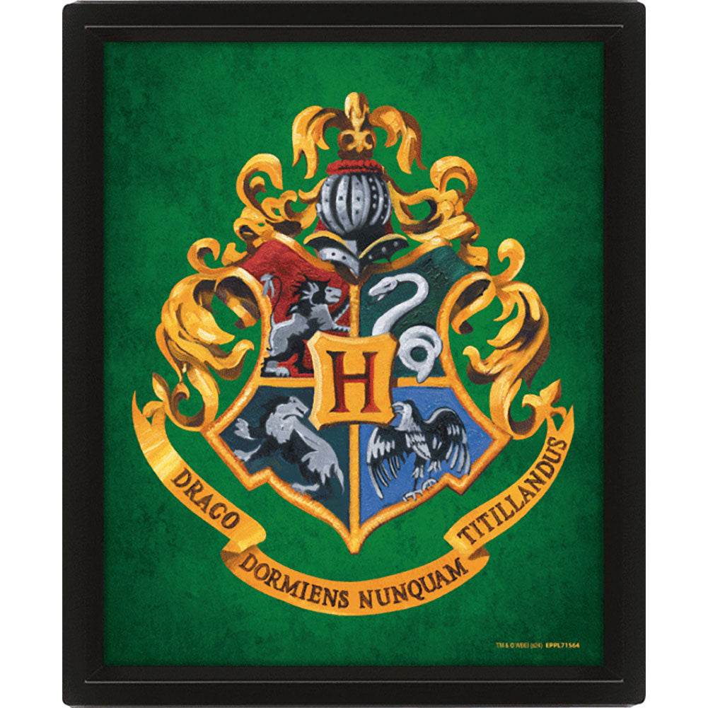 Harry Potter Slytherin Framed 3D Picture - Gift Arch