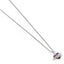 Harry Potter Sterling Silver Crystal Necklace Love Potion - Gift Arch