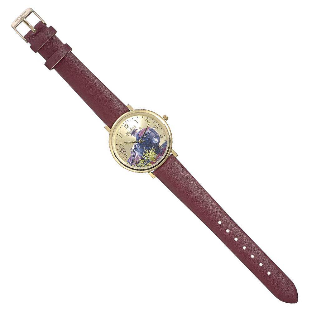 Harry Potter Watch Hogwarts Express - Gift Arch
