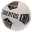 Juventus FC Football - Gift Arch