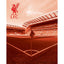 Liverpool FC 3D Print - Gift Arch