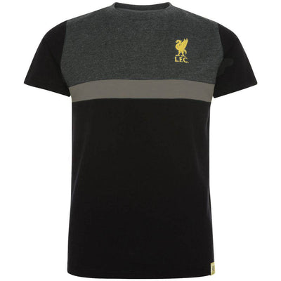 Liverpool FC Panel T Shirt Junior 5-6 Yrs - Gift Arch