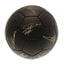 Liverpool FC Sig Gold Phantom Skill Ball - Gift Arch