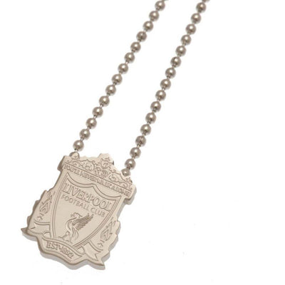 Liverpool FC Stainless Steel Pendant & Chain - Gift Arch