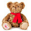 Liverpool FC Supersoft Classic Bear - Gift Arch