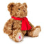 Liverpool FC Supersoft Classic Bear - Gift Arch