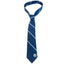 Manchester City FC Stripe Tie - Gift Arch