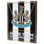 Newcastle United FC Home Team Garden Sign - Gift Arch