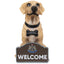 Newcastle United FC Labrador Gnome - Gift Arch