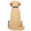 Newcastle United FC Labrador Gnome - Gift Arch