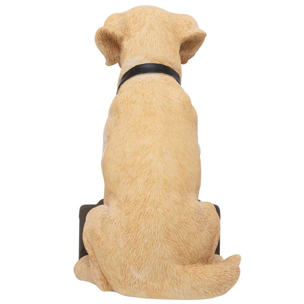 Newcastle United FC Labrador Gnome - Gift Arch