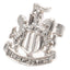 Newcastle United FC Sterling Silver Stud Earring - Gift Arch