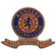 Rangers FC 150 Years Pin Badge - Gift Arch