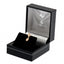 Tottenham Hotspur FC 9ct Gold Earring - Gift Arch