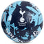 Tottenham Hotspur FC Graffiti Football - Gift Arch