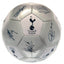 Tottenham Hotspur FC Sig Silver Football - Gift Arch
