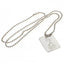 Tottenham Hotspur FC Silver Plated Dog Tag & Chain - Gift Arch