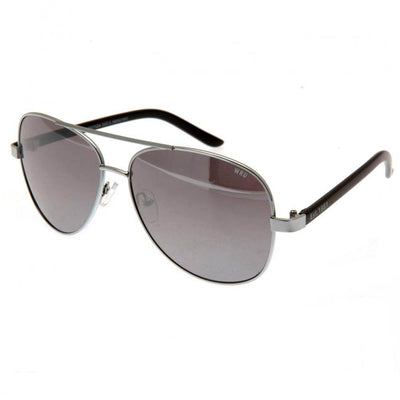 Wales RU Sunglasses Adult Aviator - Gift Arch