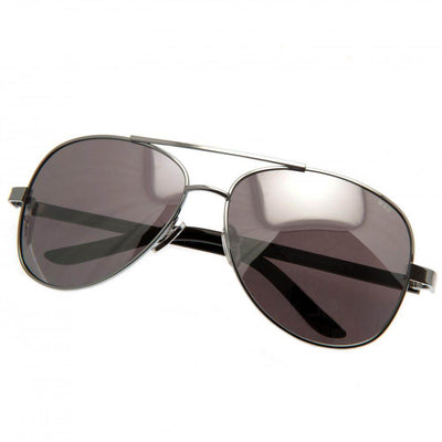 Wales RU Sunglasses Adult Aviator - Gift Arch