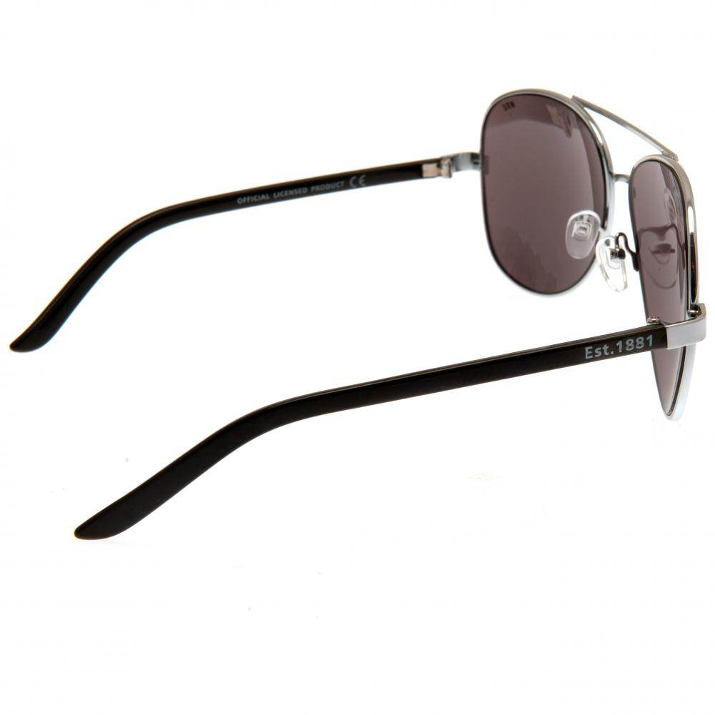 Wales RU Sunglasses Adult Aviator - Gift Arch