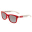 Wales RU Sunglasses Junior Retro - Gift Arch