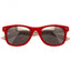Wales RU Sunglasses Junior Retro - Gift Arch