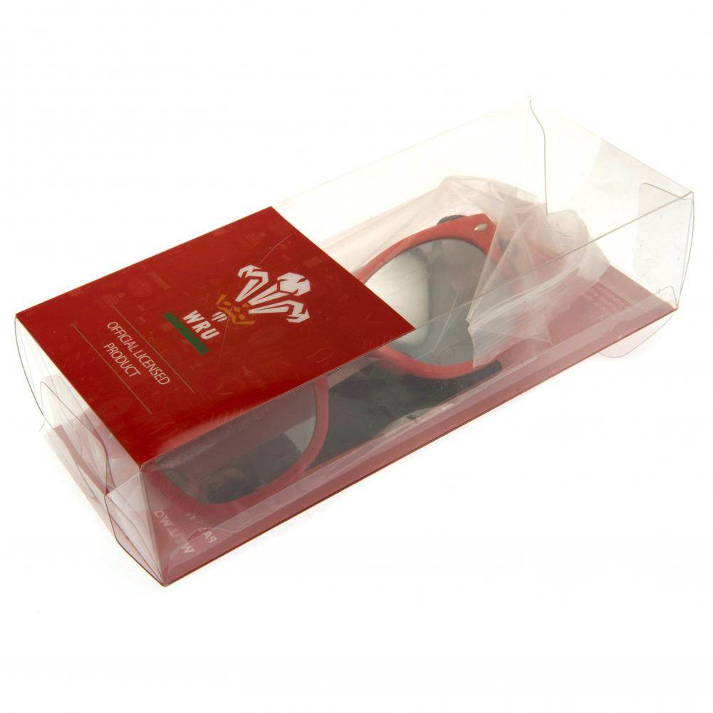 Wales RU Sunglasses Junior Retro - Gift Arch